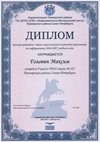 2016-2017 Головин Максим 8л (РО-информатика)
